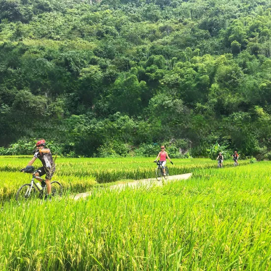 The Ultimate Guide to Soft Adventure Cycling Vietnam